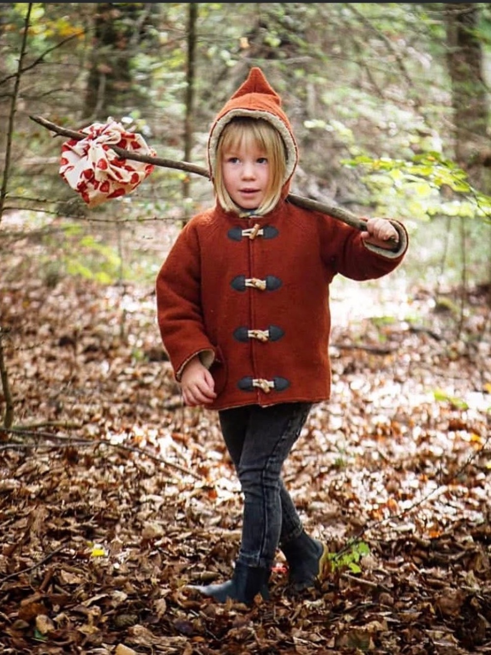 Kleine Schobbejak Wool Winter Coat Pixiecoat - Picture 2 of 16